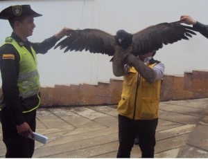 Aguila 1